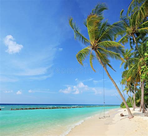 Beach 库存图片 图片 包括有 阳光 海岸线 海岛 风景 蓝色 小珠靠岸的 加勒比 没人 33730271