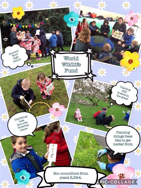 Nunnery Wood Primary School Eco Council