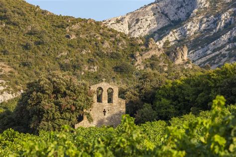 Vineyards In The Wine Region Languedoc Roussillon Roussillon France