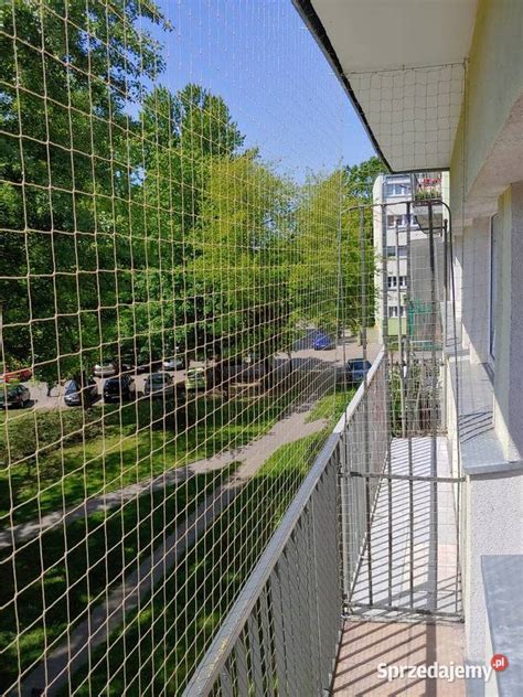 Siatka Dla Kota Instalacja Monta Balkon Okno Zabezpieczenie D