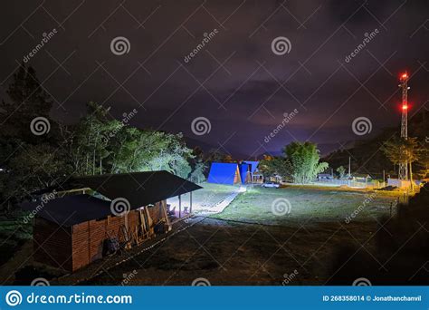 Typical Nocturnal Landscape in the Jungle Stock Photo - Image of place ...