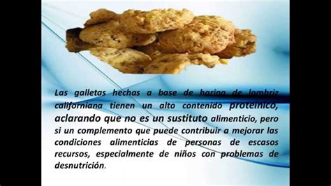 Galletas De Harina De Lombriz Youtube