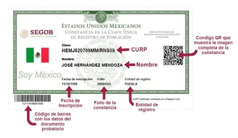 Actualizar CURP 2022 Como Actualizar Al Nuevo Formato