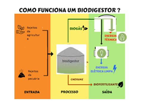 Uso da biomassa como fonte de energia Planos de aula 5º ano Geografia