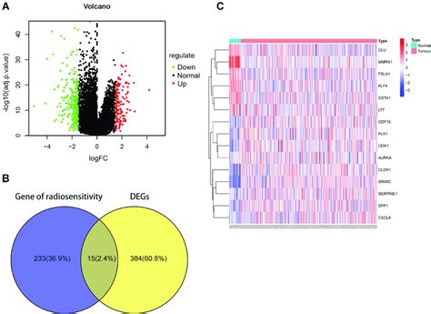 The Degs Of Radiosensitivity In Gastric Cancer A Volcano Diagram For