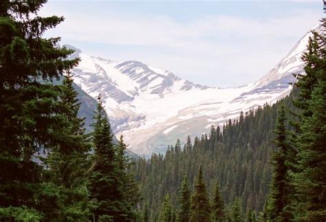 Jackson Glacier Overlook