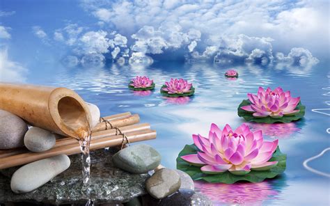 Wallpaper Lotus Stones Water Pink Flowers Clouds Creative Design