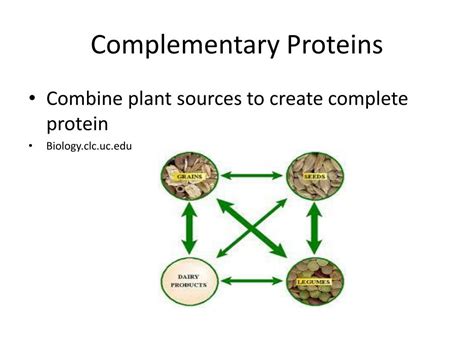 Ppt Protein Powerpoint Presentation Free Download Id2977939