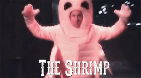 Shrimp GIF - Theshrimp - Discover & Share GIFs