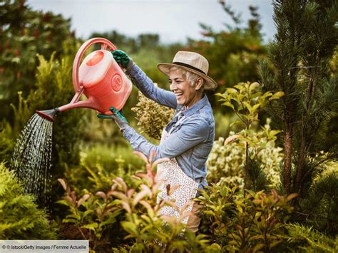 Doit On Arroser Ses Plantes En Hiver