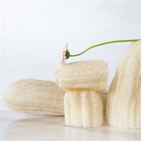 Raw natural Loofah exfoliating sponge – My WordPress