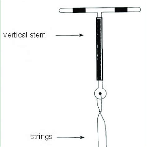 Copper T 380a In Uterus Download Scientific Diagram