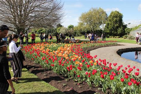 Stunning Gardens At The Hamilton Tulip Festival - New Zealand