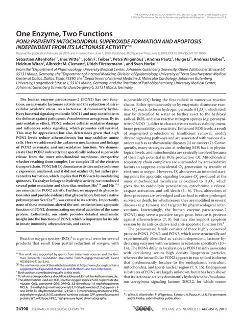 Pdf One Enzyme Two Functions Pon2 Prevents Mitochondrial Superoxide