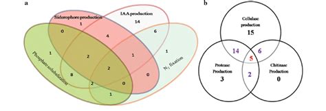 A Venn Diagram Showing Plant Growth Promoting Activity Of Bacterial