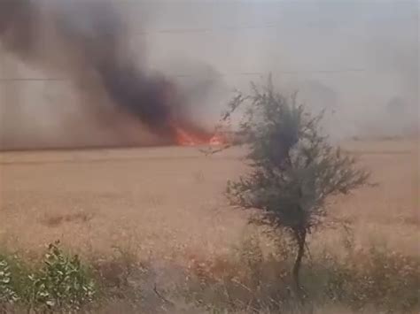 Fire Broke Out In The Field Due To Unknown Reasons अज्ञात कारणों के