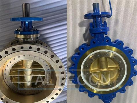 Ptfe Full Lined Butterfly Valve Split Body With Worm Gear Exported To South Africa Artofit