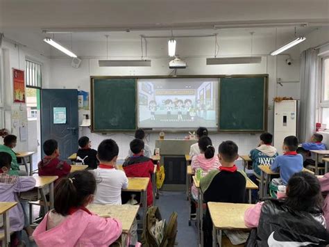 郑州市管城区毕河小学组织师生观看《团团微课：青少年网络素养公开课》教育资讯河南商报网