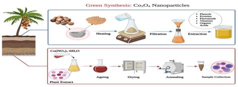 Applied Sciences Free Full Text Green Synthesis Of Cobalt Oxide