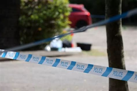 Murder Investigation Launched In Romford As Man Arrested After Woman