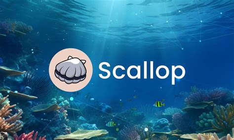 Scallop Protocol Secures $3 Million in Strategic Investment Round ...