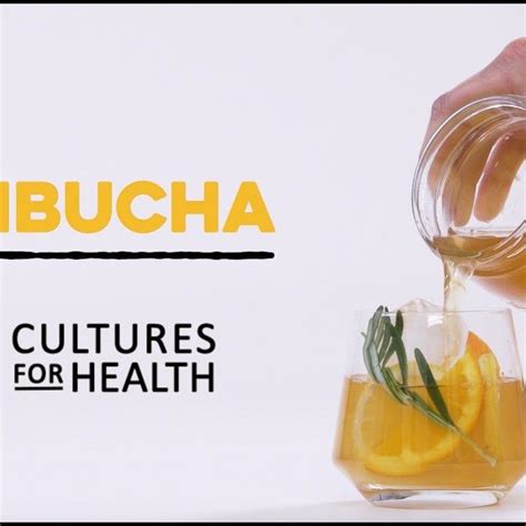 Kombucha Recipe Learn How To Make Homemade Kombucha From A Scoby