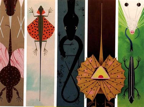 The Golden Book Of Biology By American Modernist Artist Charley Harper