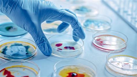 Pharmaceutical Microbiology Key Developments 2022