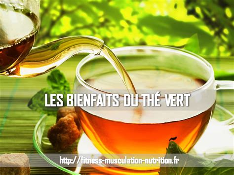 Les bienfaits du thé vert Fitness Musculation Nutrition