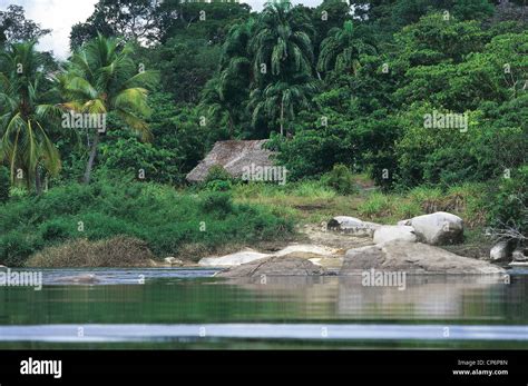 Canal casiquiare fotografías e imágenes de alta resolución - Alamy