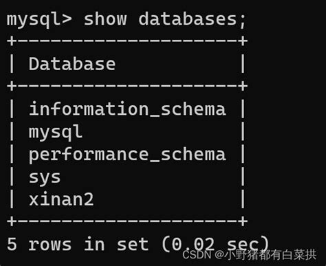 Mysql创建数据库和数据表的五种类型 数据库创建数据表代码 Csdn博客