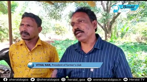 Nacinola Farmers Submit A Memorandum To Zonal Officer Regarding High