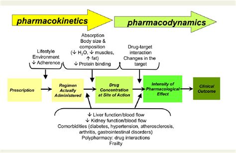 Tetracycline interactions: Tetracycline Oral: Uses, Side Effects ...