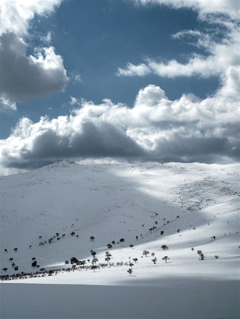 Evergreen Trees Around a Lake in Winter · Free Stock Photo