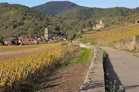 Kaysersberg Fall Vineyard - Free photo on Pixabay