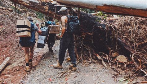 Internet from space for flood relief in New South Wales, Australia | Starlink