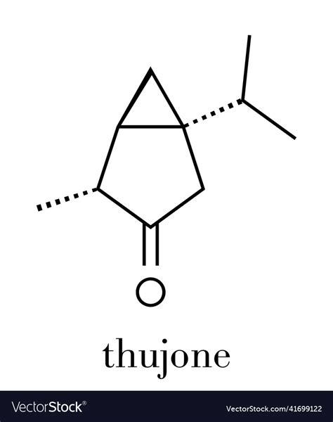 Thujone absinthe molecule chemical structure Vector Image