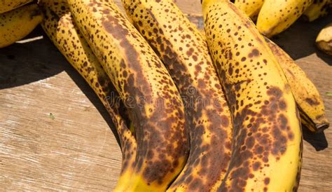 Banane Troppo Mature Su Bianco Immagine Stock Immagine Di Frutta