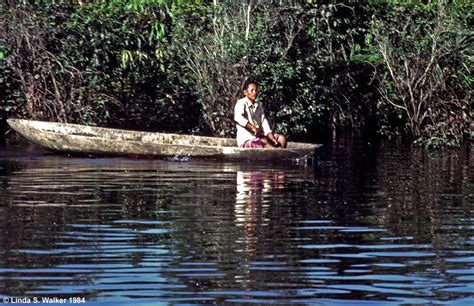 Dugout Canoe Amazon River Peru