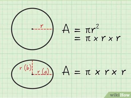 Ellipse Area Calculator – Healthy Food Near Me