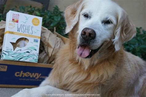 Grant Your Dog's Wishes for Chewy Dog Treats #ChewyInfluencer