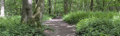 Hockley Woods Circular Essex England 97 Reviews Map Alltrails