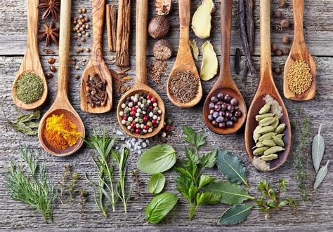 Herbs Vs Spices Whats The Difference And Why Does It Matter For