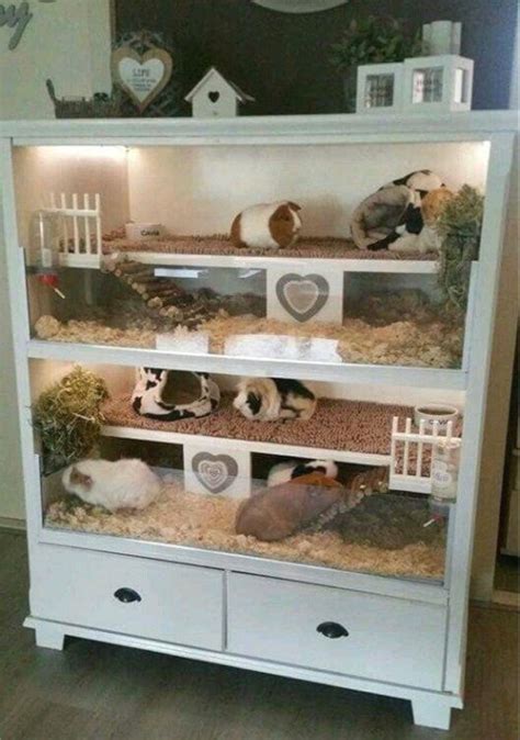 Pet Pig House Guinea Pig House Hamster House Guinea Pig Breeding