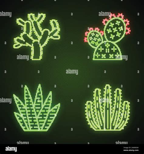 Wild Cactuses Neon Light Icons Set Green Succulents Exotic Mexican