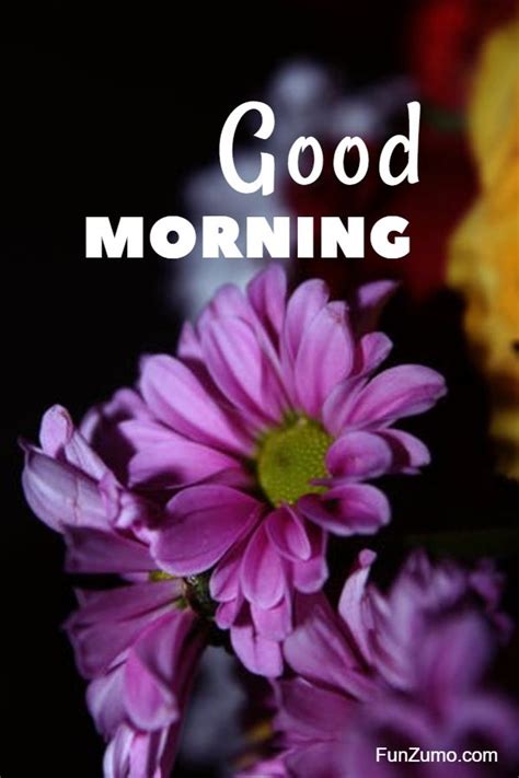 35 Best Good Morning Flowers Images Funzumo