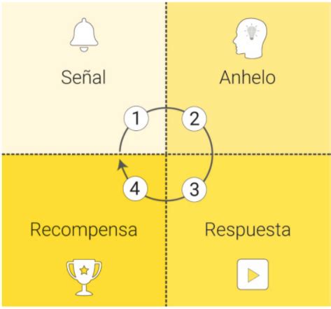 Cuáles son las fases del hábito Exponential Academy