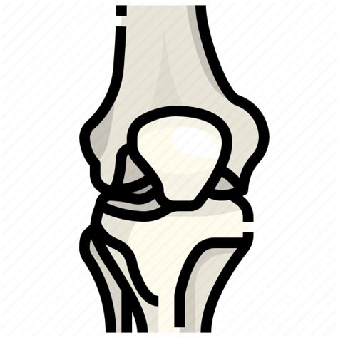 Knee Joint Clipart