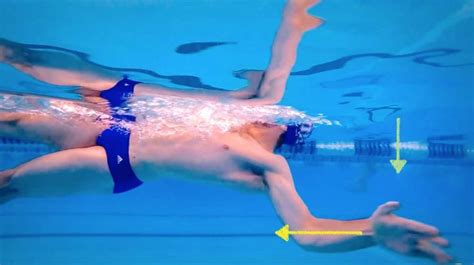 Estilo Espalda O Dorso Natación Como Nadar Con Técnica Correcta Ejercicios Videos Y