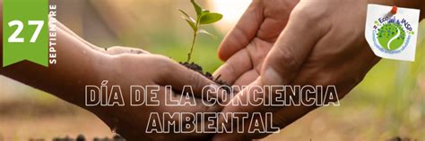 D A De La Conciencia Ambiental Espm